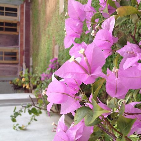 Manik Home Stay Kudapaduwa المظهر الخارجي الصورة
