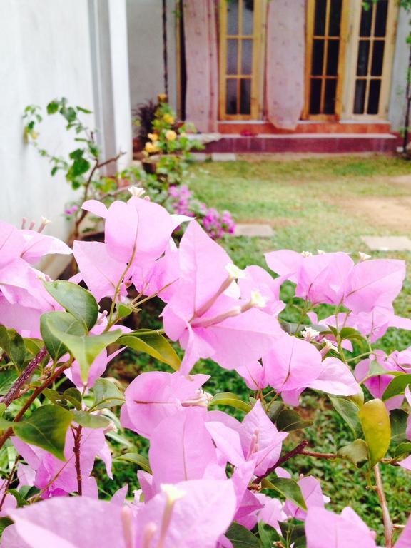 Manik Home Stay Kudapaduwa المظهر الخارجي الصورة